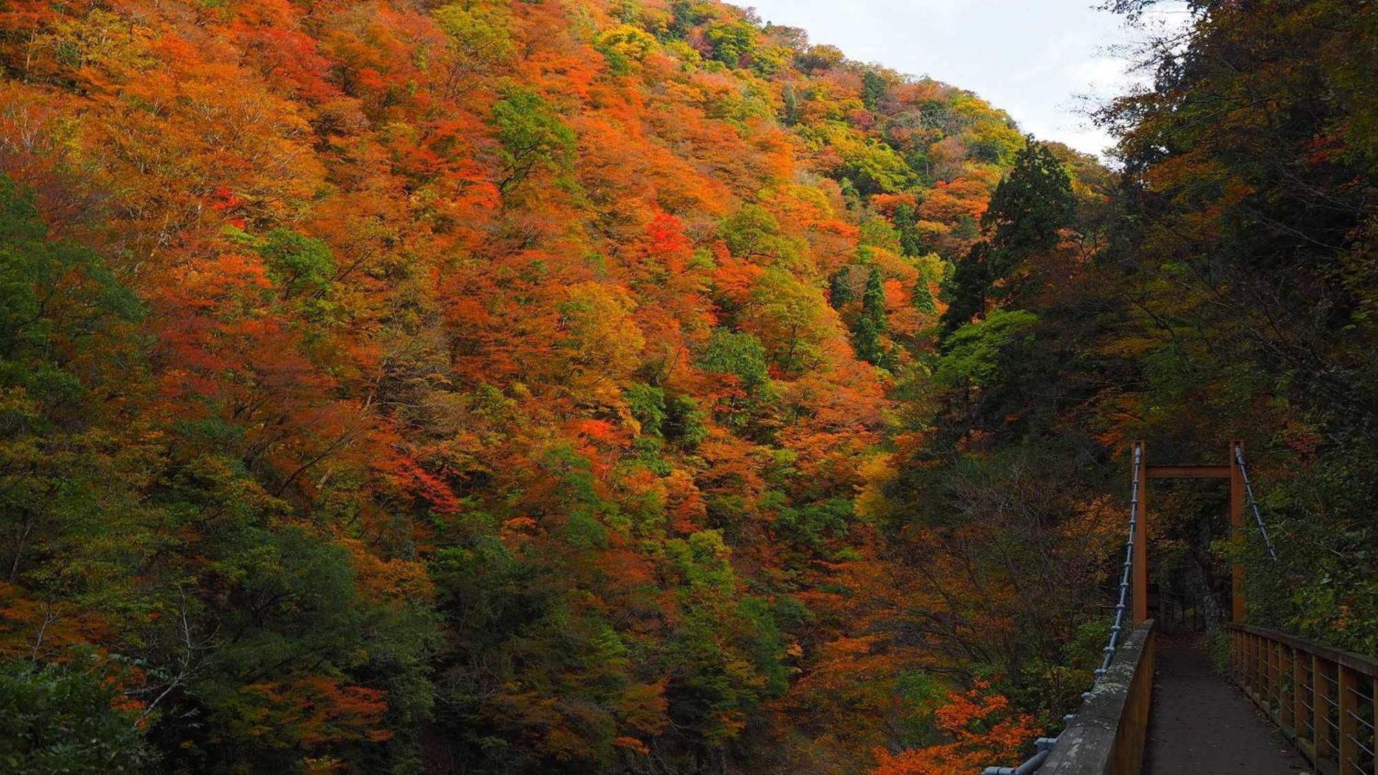 Kashintei Shirahama Otel Semboku Dış mekan fotoğraf