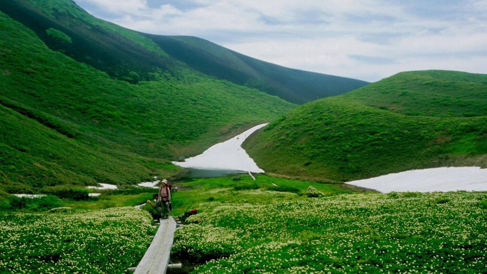 Kashintei Shirahama Otel Semboku Dış mekan fotoğraf