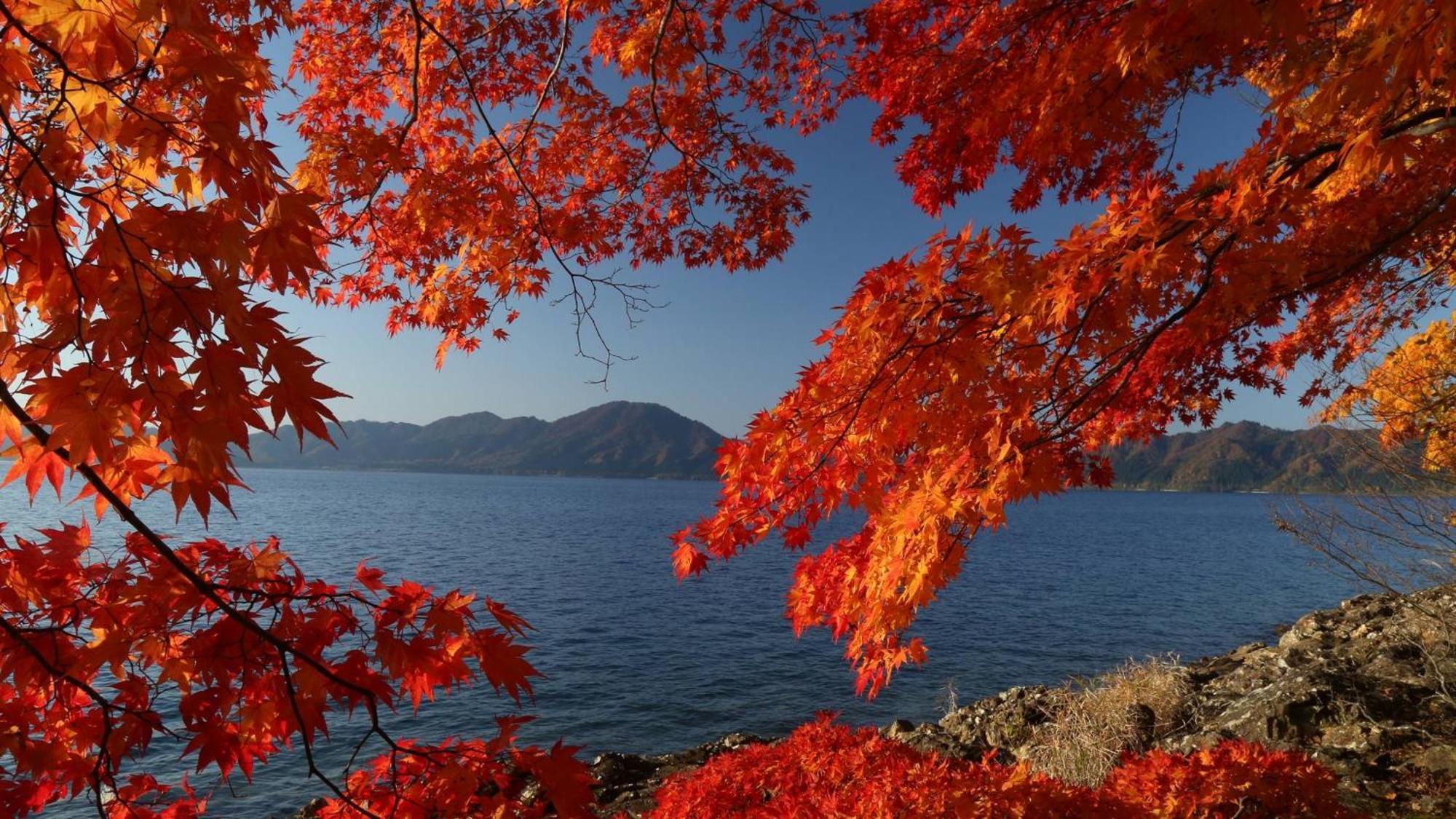 Kashintei Shirahama Otel Semboku Dış mekan fotoğraf