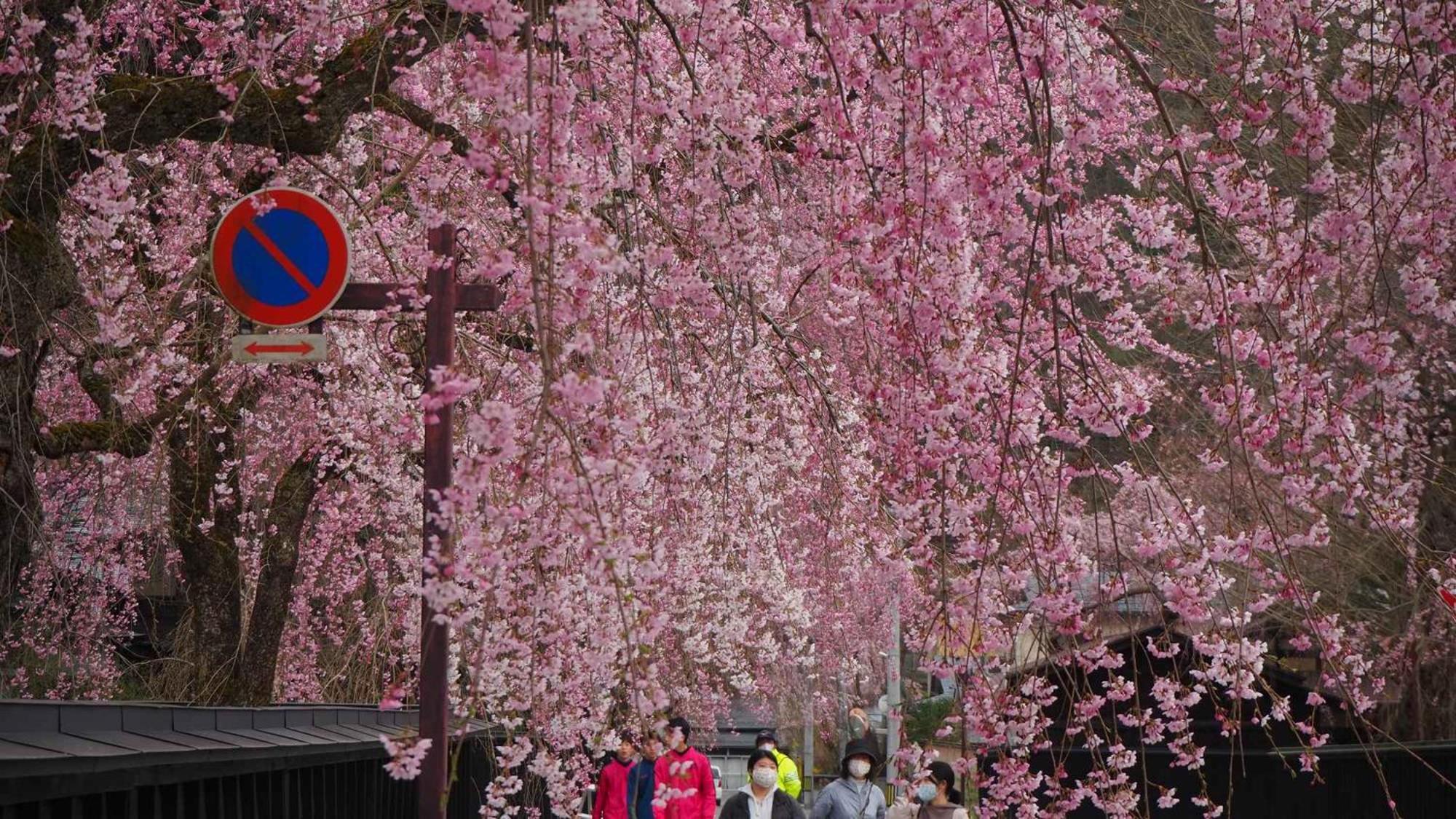Kashintei Shirahama Otel Semboku Dış mekan fotoğraf