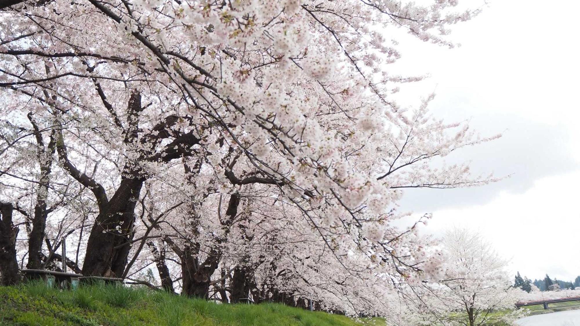 Kashintei Shirahama Otel Semboku Dış mekan fotoğraf