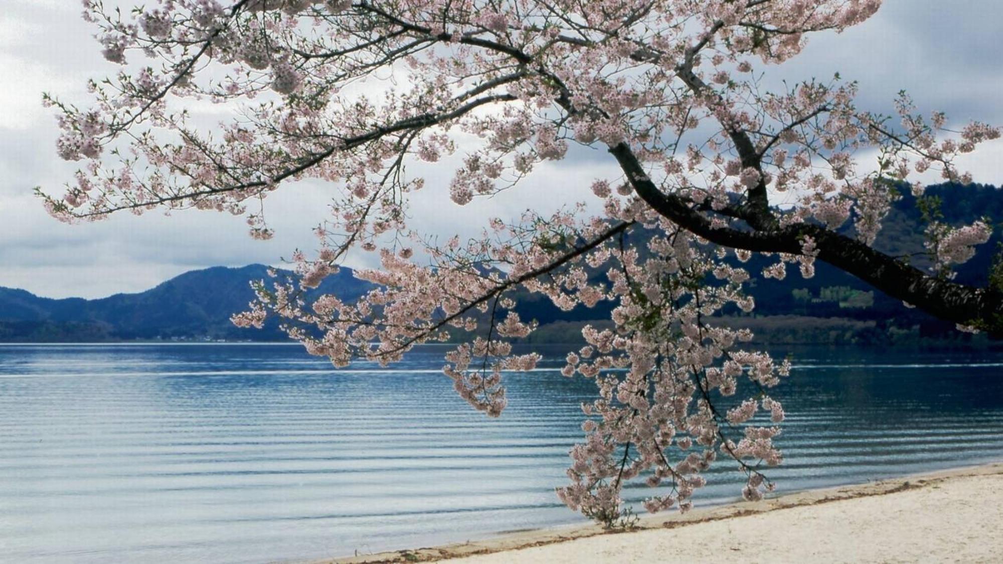 Kashintei Shirahama Otel Semboku Dış mekan fotoğraf